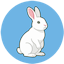 marpy.io Logo